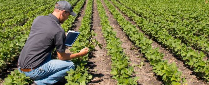 Agronomy