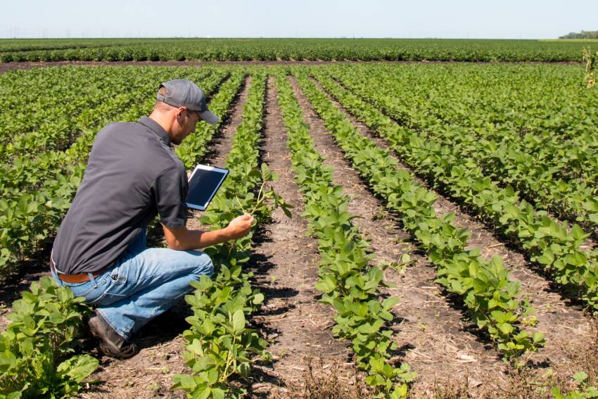 Agronomy